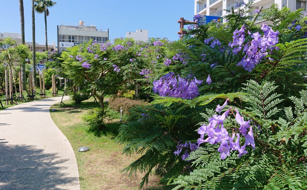 🏖️ 아타미 선비치 이미지 9